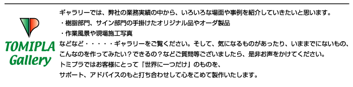 �M�������[�C���t�H���[�V����