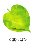 �t����